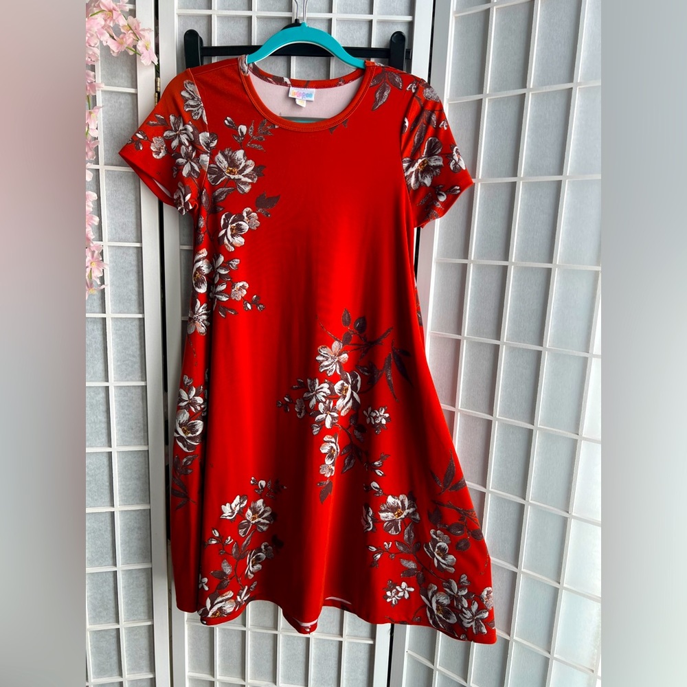 Lularoe floral Carly dress
